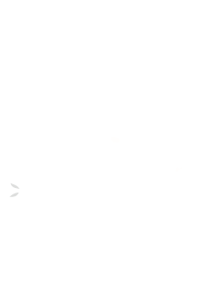 Rozenburg Bloeit